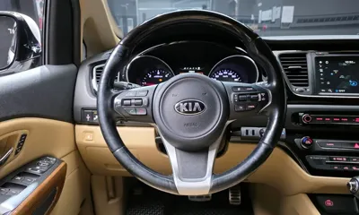 Kia Canival 2016, 199025 км, за 8198.77 USD - фото 13