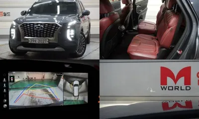 Hyundai Palisade · 2019 год