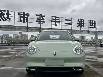 ORA Ora Good Cat 2022, 54000 км, за 7779.69 USD