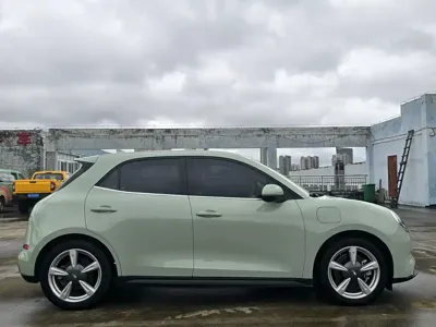 ORA Ora Good Cat 2022, 54000 км, за 7779.69 USD