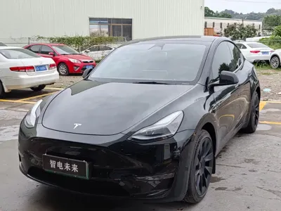 Tesla Model Y · 2024 год