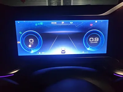 Haval Shenshou 2022, 22000 км, за 10976.83 USD