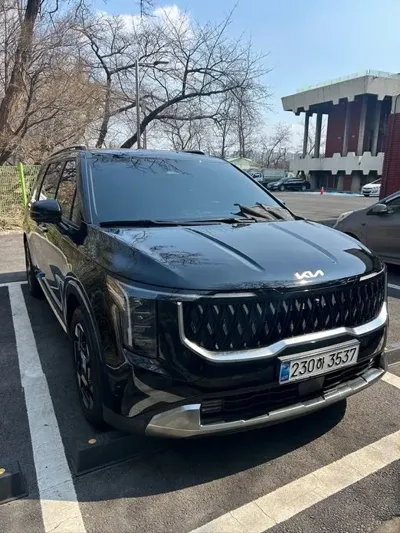 Kia Canival 2025, 22915 км, за 18280.01 USD