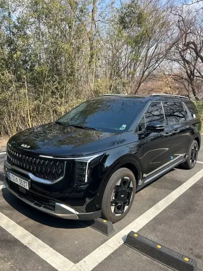 Kia Canival 2025, 22915 км, за 18280.01 USD