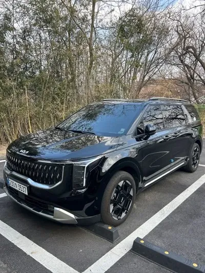 Kia Canival 2025, 22915 км, за 18280.01 USD