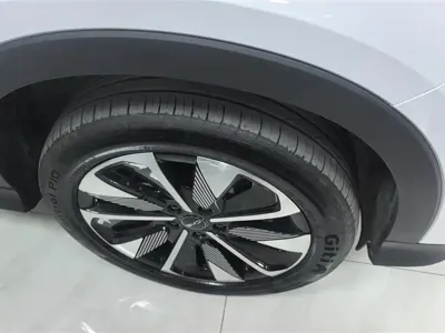 BYD PLUS New Energy 2025, 32800 км, за 16156.25 USD - фото 6