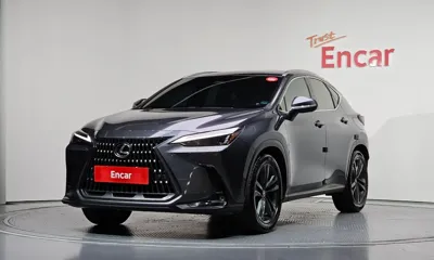Lexus NX · 2024 год