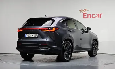 Lexus NX 2024, 100019 км, за 28602.99 USD