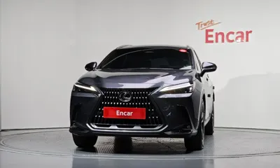 Lexus NX 2024, 100019 км, за 28602.99 USD