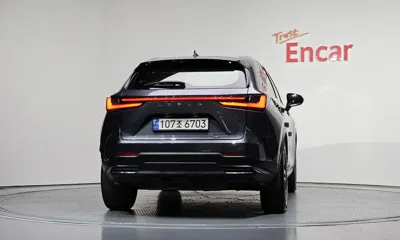 Lexus NX 2024, 100019 км, за 28602.99 USD