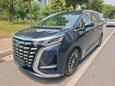 Denza Denza D9 · 2023 год