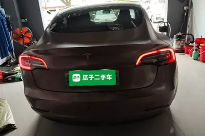 Tesla Model 3 2020, 123200 км, за 17739 USD - фото 5