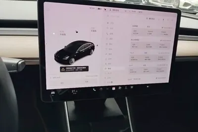 Tesla Model 3 2020, 123200 км, за 17739 USD - фото 15