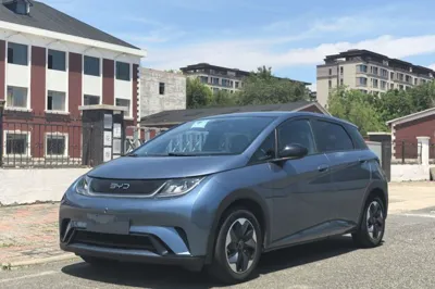 BYD Dolphin · 2024 год