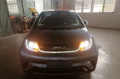 BYD Dolphin 2024, 24800 км, за 11945 USD
