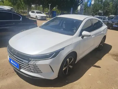 BYD Destroyer 05 · 2024 год