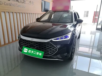 BYD Tang New Energy · 2024 год