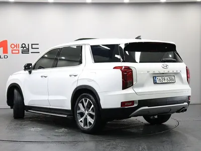 Hyundai Palisade 2021, 148892 км, за 16723.97 USD