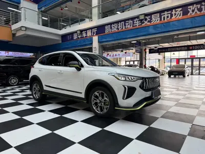 Haval Chitu 2022, 25000 км, за 12347.3 USD