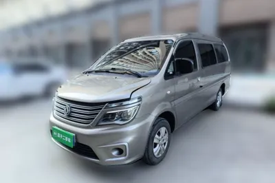 Forthing Lingzhi · 2019 год