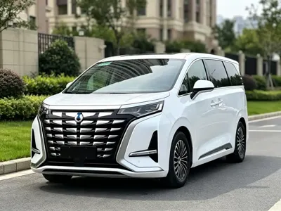 Denza Denza D9 · 2023 год