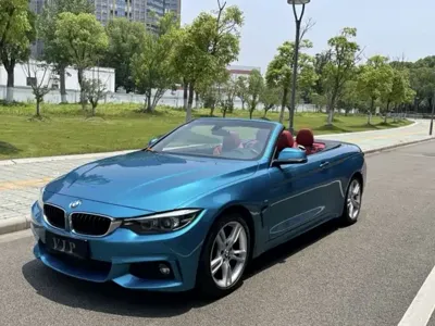 BMW 4 Series · 2017 год