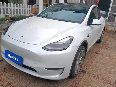 Tesla Model Y · 2021 год