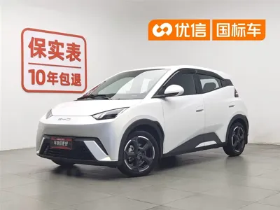 BYD Seagull · 2023 год