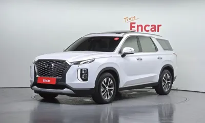Hyundai Palisade · 2019 год