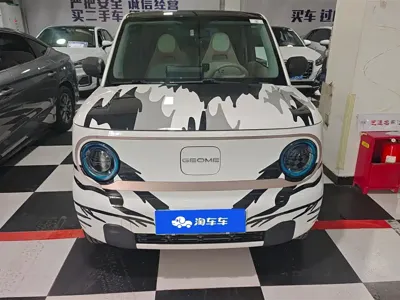 Galaxy Panda 2023, 26600 км, за 4161.5 USD