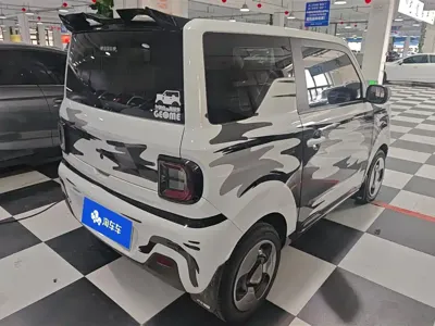 Galaxy Panda 2023, 26600 км, за 4161.5 USD