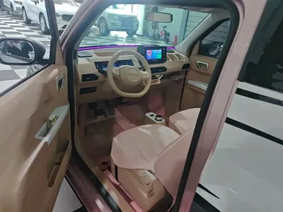 Galaxy Panda 2023, 26600 км, за 4161.5 USD - фото 9