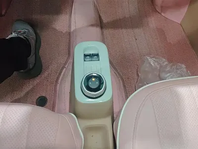 Galaxy Panda 2023, 26600 км, за 4161.5 USD - фото 16