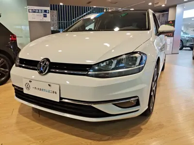 Volkswagen Golf · 2020 год