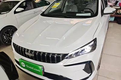 Geely Auto Binray