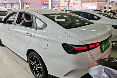 Geely Auto Binray