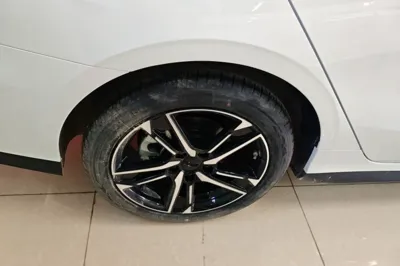 Geely Auto Binray