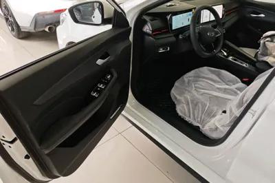 Geely Auto Binray