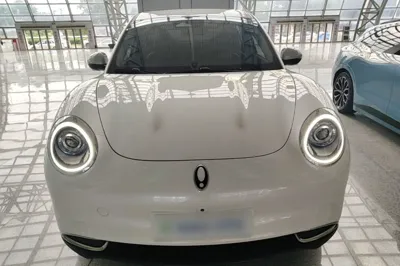 ORA Good Cat 2021, 40700 км, за 11716 USD