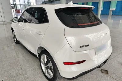 ORA Good Cat 2021, 40700 км, за 11716 USD