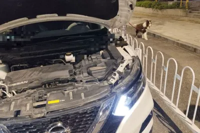 Nissan Qashqai 2019, 123400 км, за 7521 USD - фото 22