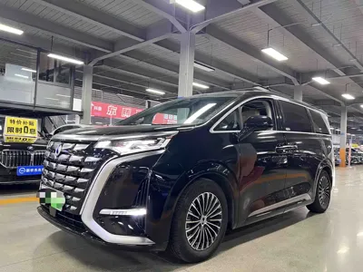 Denza Denza D9 · 2023 год
