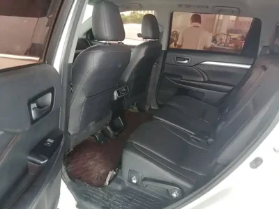 Toyota Highlander 2016, 131800 км, за 12524.12 USD - фото 17