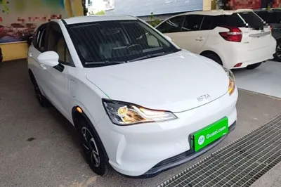NETA V 2021, 31900 км, за 7542 USD