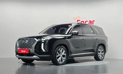 Hyundai Palisade · 2019 год