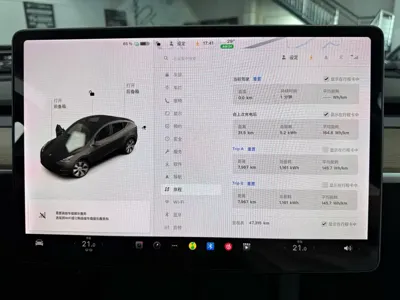 Tesla Model Y 2021, 47000 км, за 21956.8 USD - фото 6