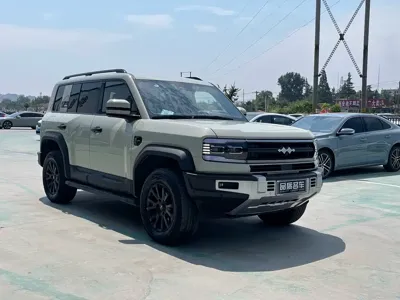 Fang Cheng Bao Leopard 5 2024, 37000 км, за 27523.59 USD