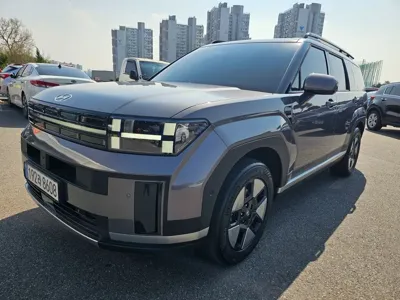 Hyundai Santafe · 2024 год