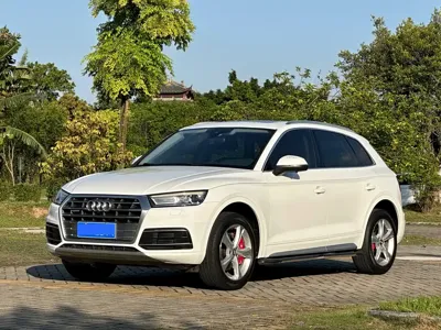 Audi Q5L · 2019 год