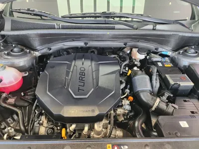 Hyundai Santafe 2021, 107000 км, за 14702.07 USD - фото 6